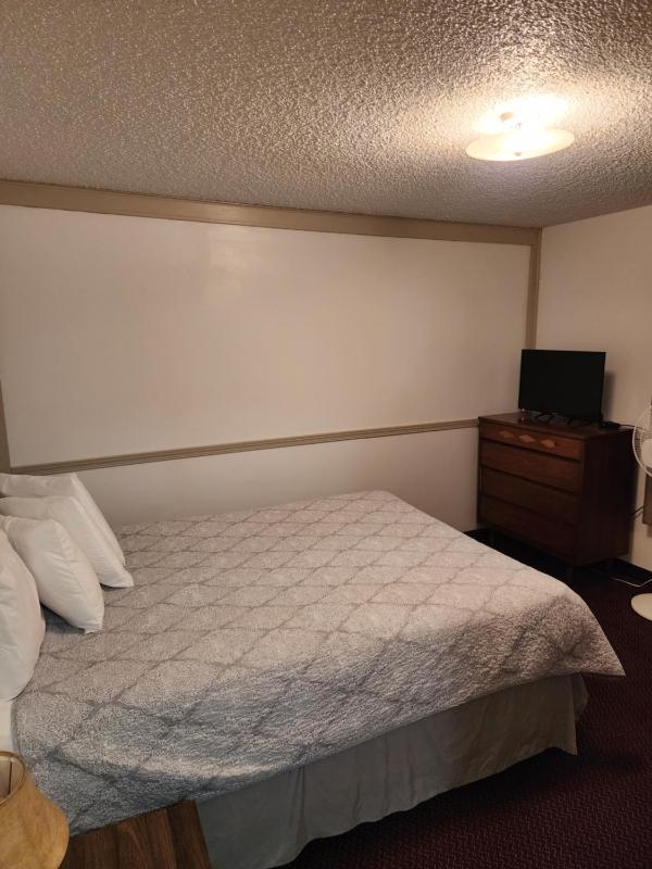 Spacious Suite on the Coast A image 4