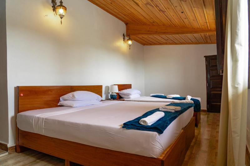 Aurelia Zanzibar - image 15