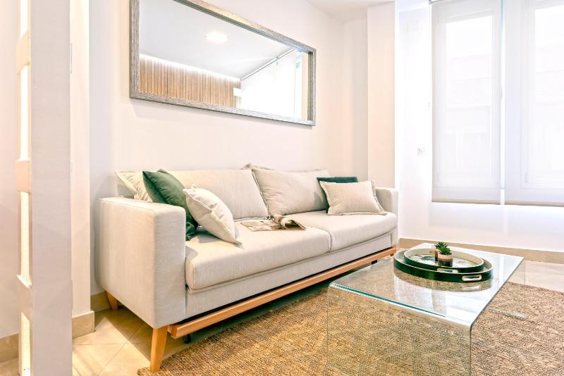One-Bedroom Apartment image 4
