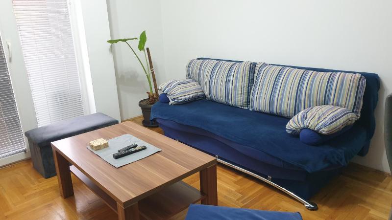 One-Bedroom Apartment image 3