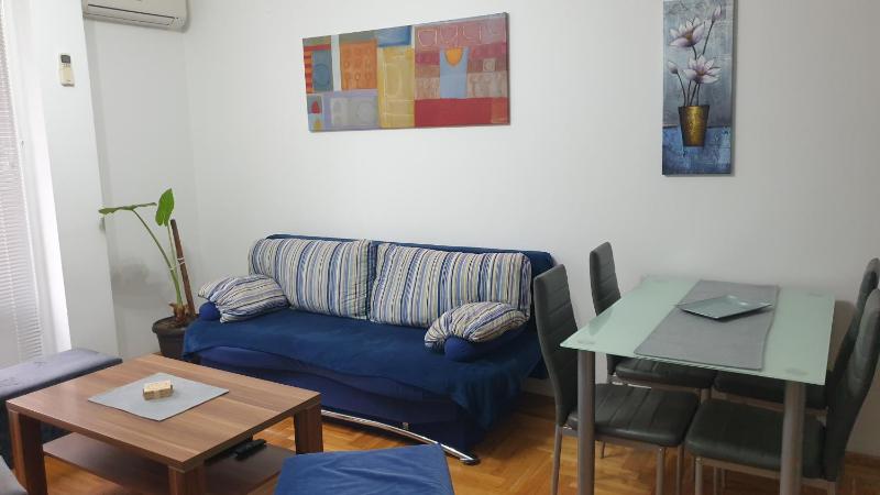 One-Bedroom Apartment image 2