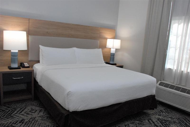 One-Bedroom King Suite with Sofa Bed image 2