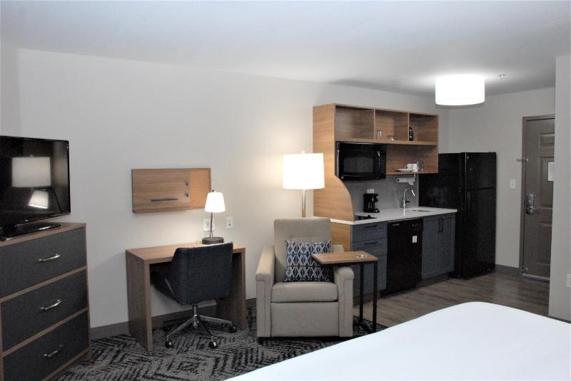King Studio Suite image 2