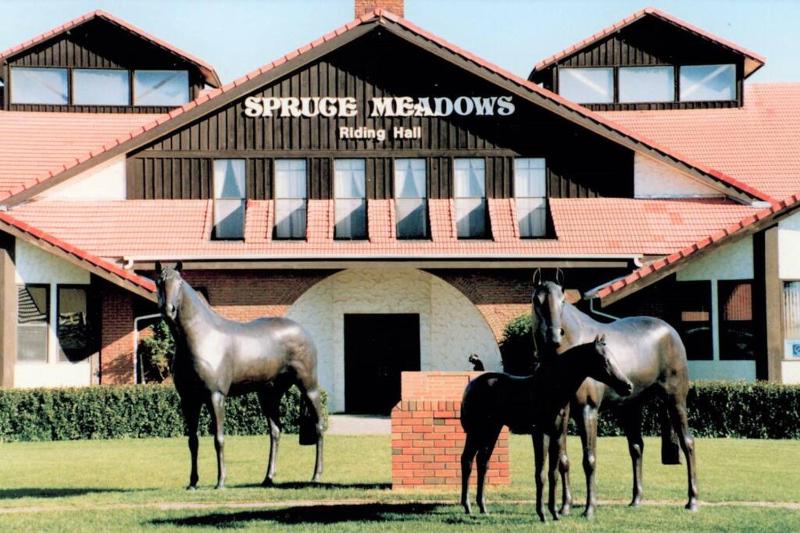 Stylish Getaway by Spruce Meadows - image 9