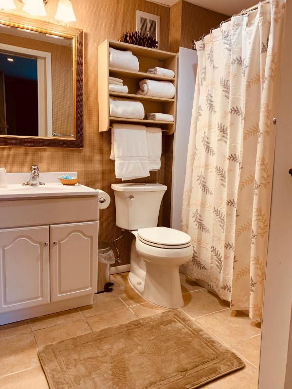 Lodge Suite image 3