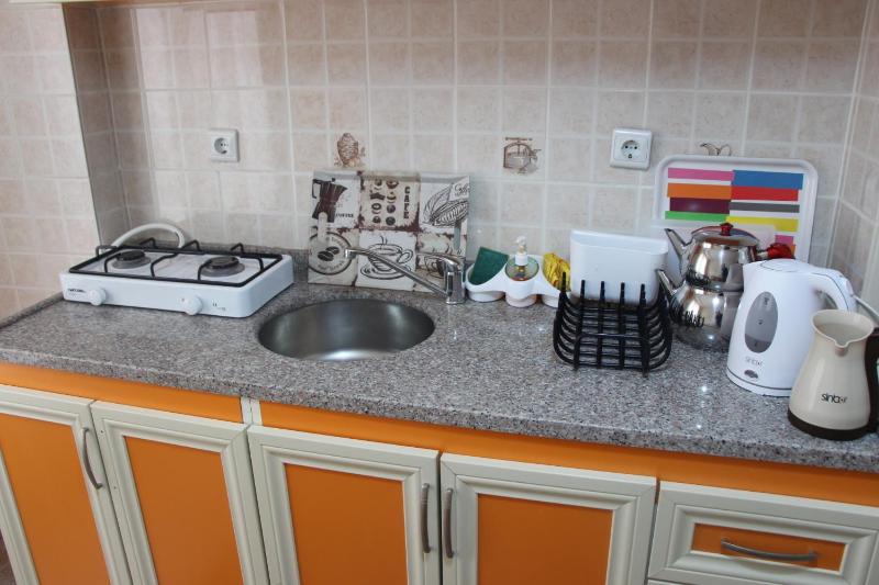 One-Bedroom Apartment image 4