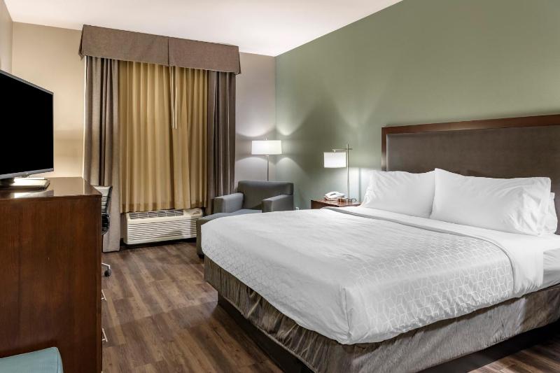 Standard King Room image 4