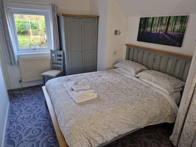 King Room image 1