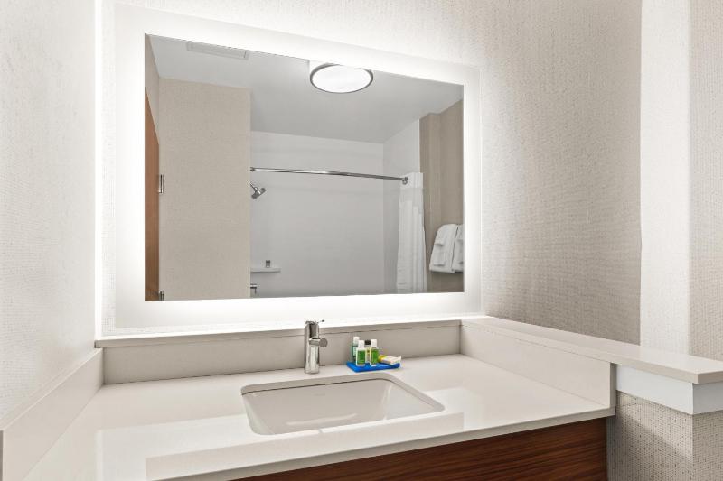 One-Bedroom King Suite with Sofa Bed image 1
