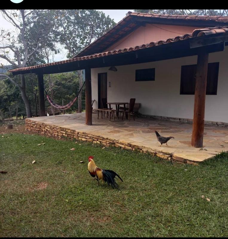 Pousada Rio das Almas - image 15