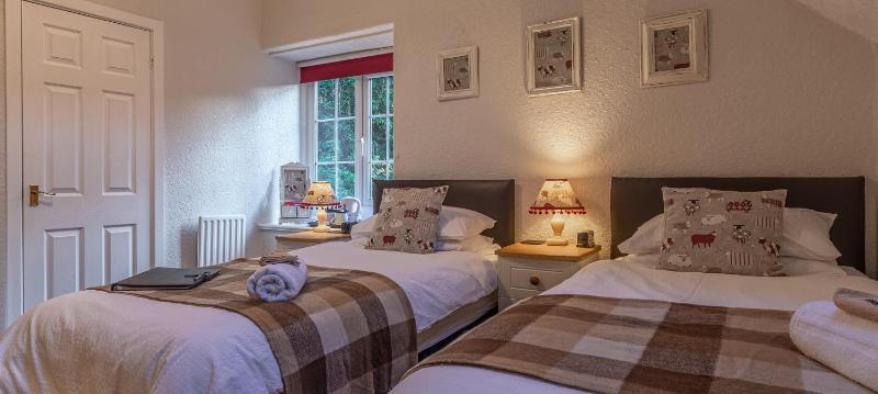 Twin Room image 1