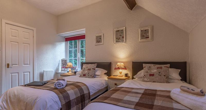 Twin Room image 4