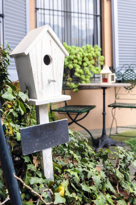 Apartment with Terrace image 4