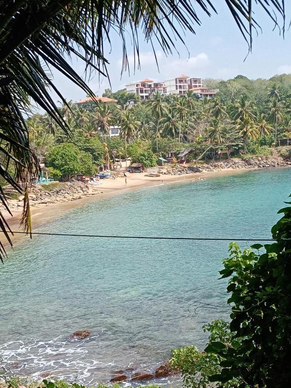 Surf Paradise 2 - image 39