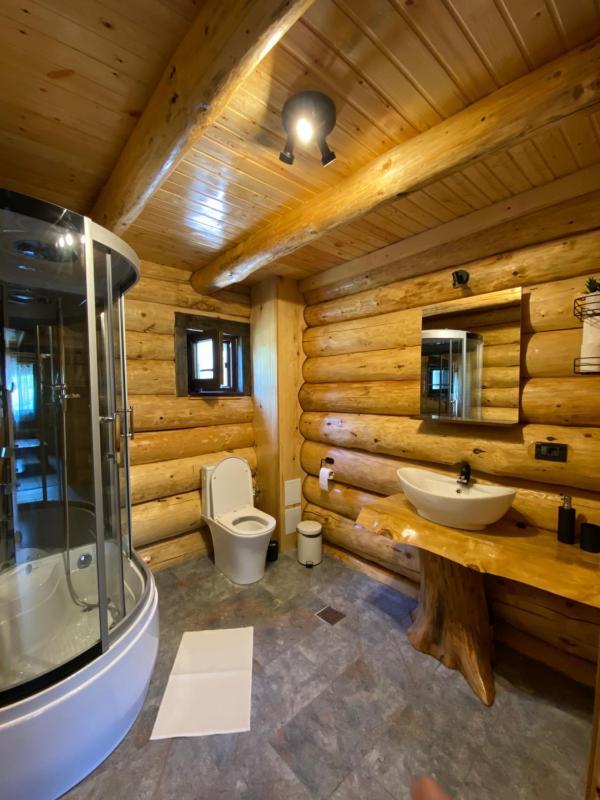 Bellevue Chalet - image 11