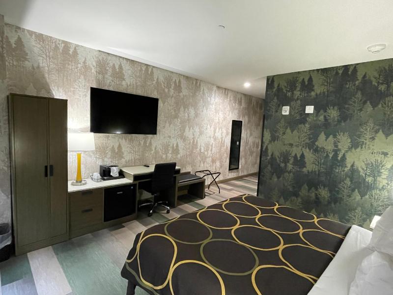 King Room with Roll-in Shower - Mobility Access/Non-Smoking image 1