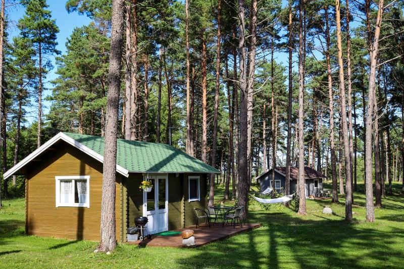 Lake and Forest Home image 1