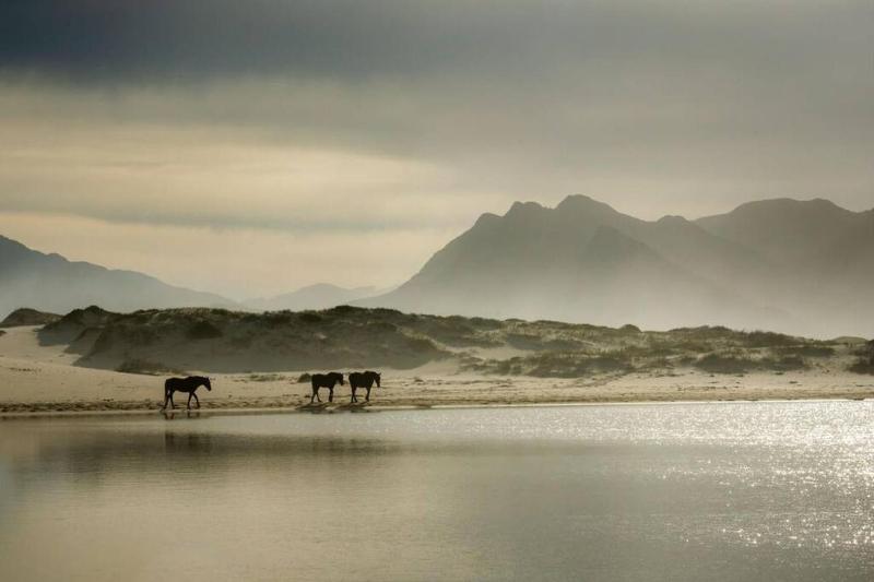 Benguela Cove - Coastal Retreat - image 7