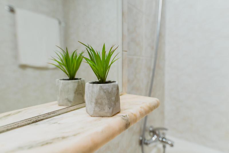 Family Suite (2 Adults + 2 Children) image 1