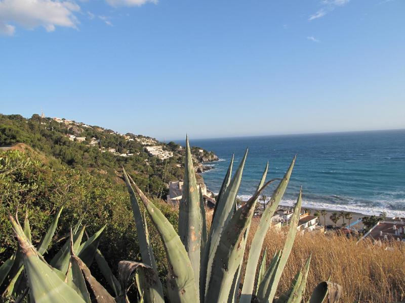Pensión La Herradura - image 11