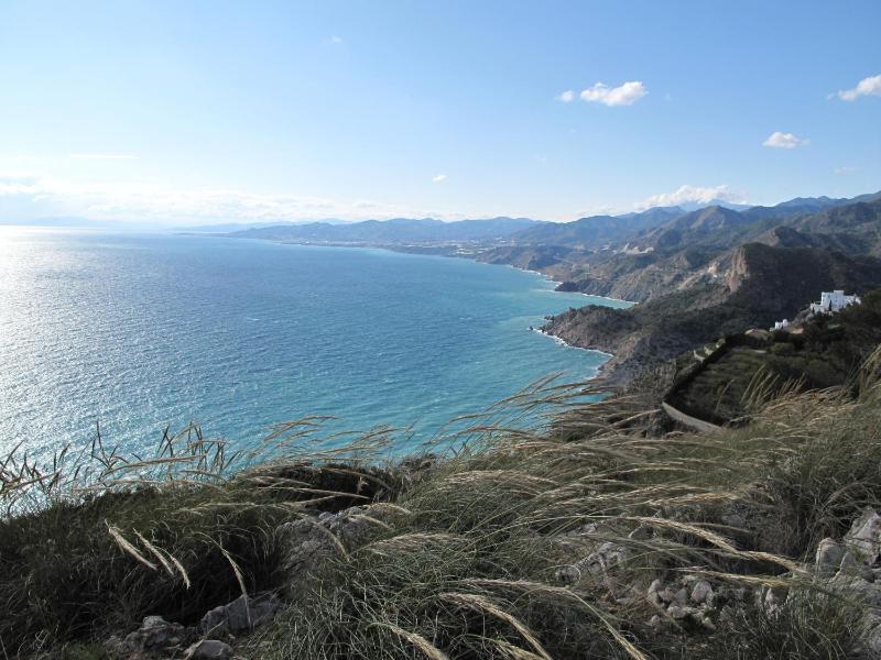 Pensión La Herradura - image 46