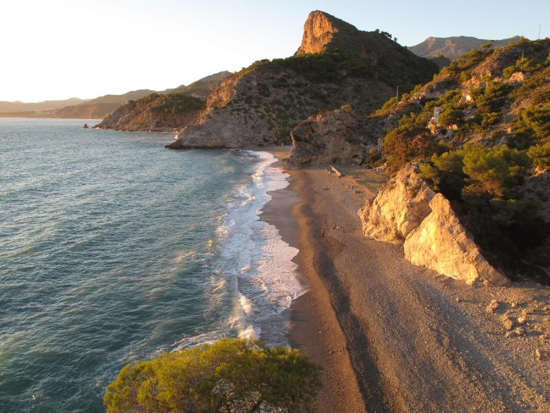 Pensión La Herradura - image 28
