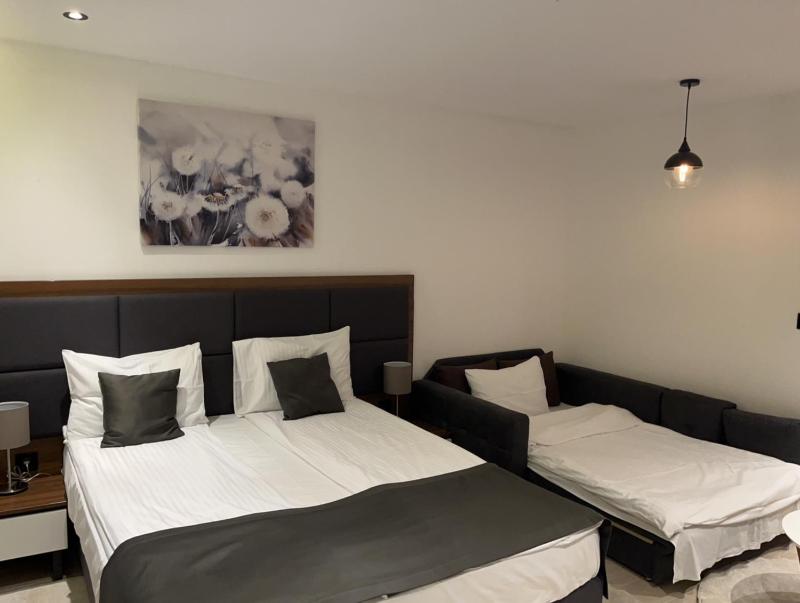 Apart Hotel & spa Zoned II Kopaonik apartman Lukač - special benifit Children up to 17 of age accompanied by two adutls staj for free! FREE PARKING! - image 6