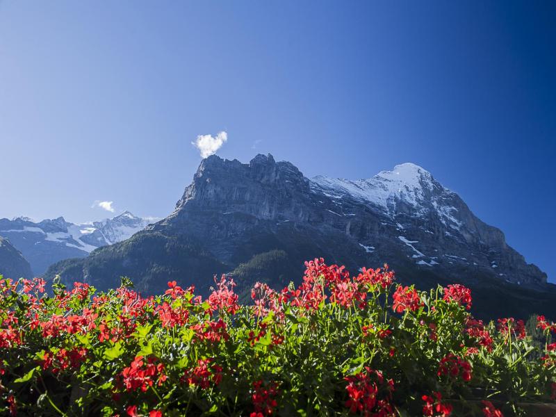 Small Double Room Eiger View image 2