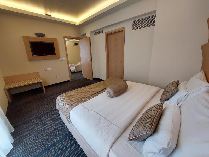 Deluxe Suite image 4
