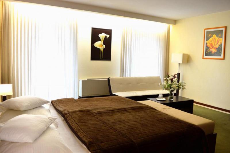 Superior Double Room image 4