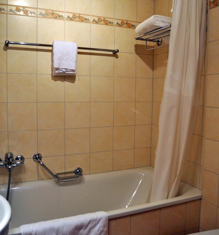 Single Room with Eiger Mountain View image 4