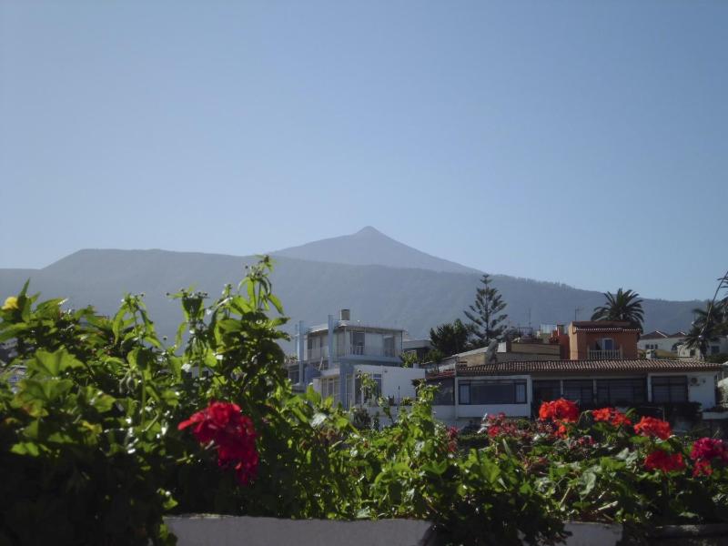 Apartamentos Chinyero - image 8