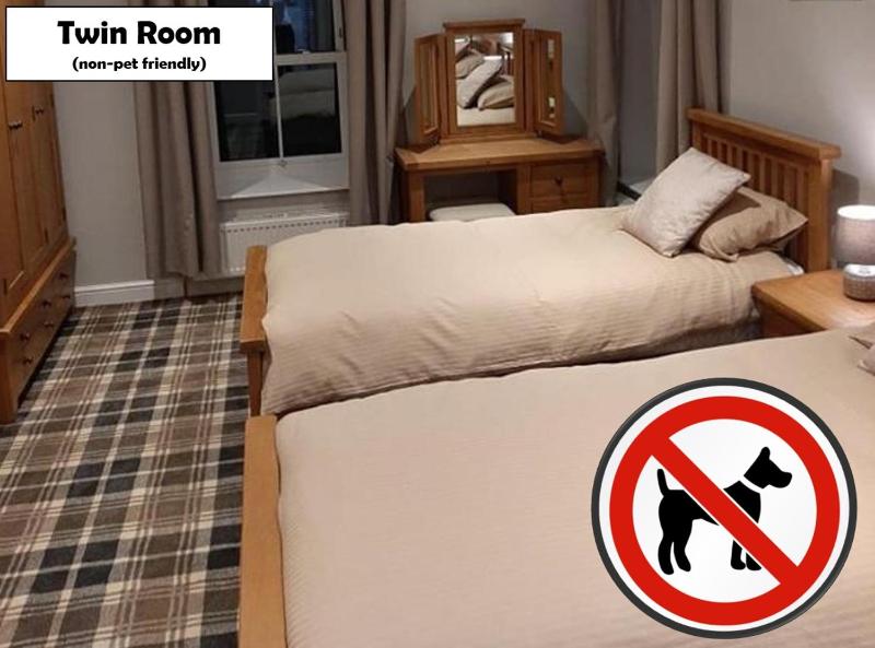 Twin Room image 4