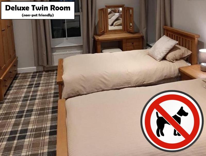 Deluxe Twin Room image 4