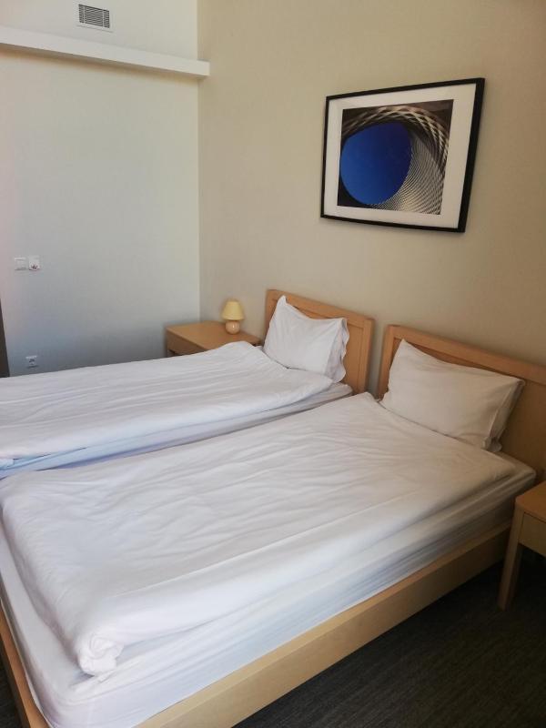 Economy Twin Room image 3
