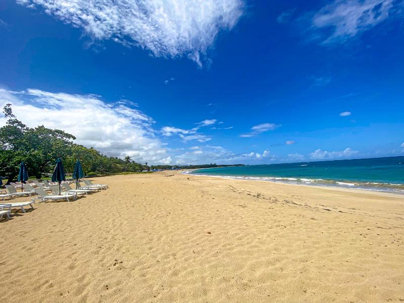 Xeliter Green One Playa Dorada - image 13