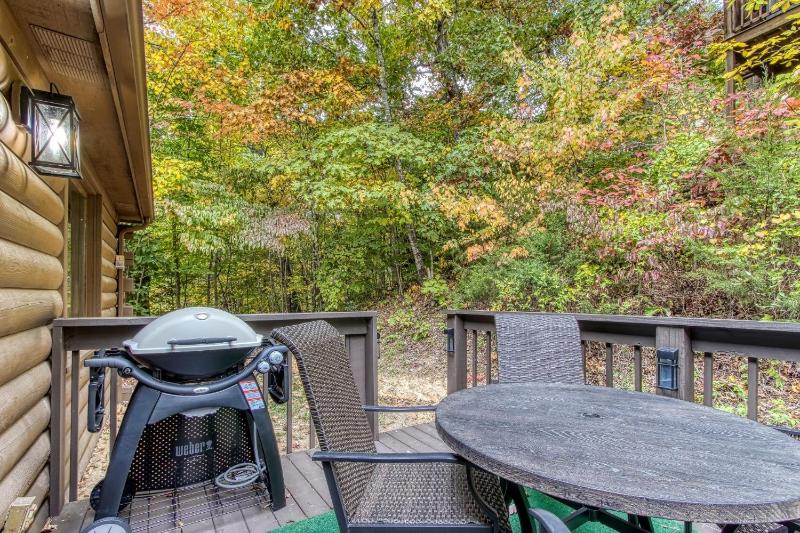 ER26 - Sasquatch Inn - Great Location! Close To Town Resort Pool! cabin - image 12