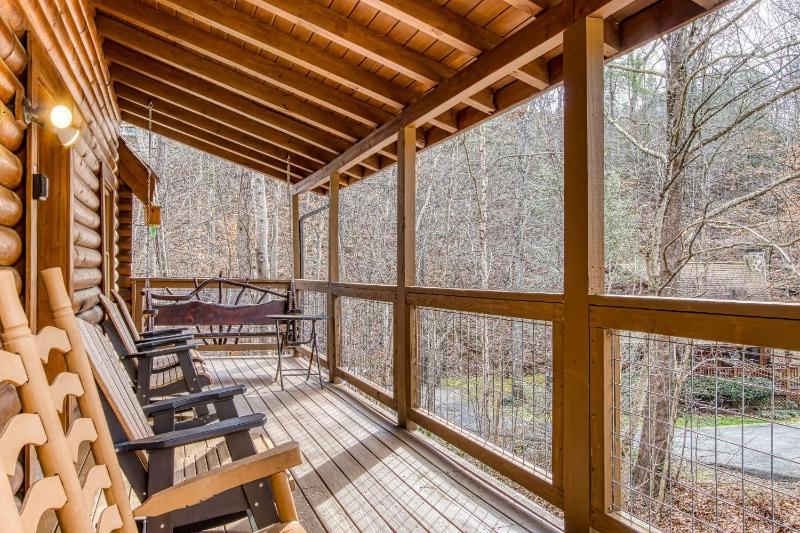 ER45 - Tin Pan Alley - Great location Just across from swimming pool! cabin - image 4