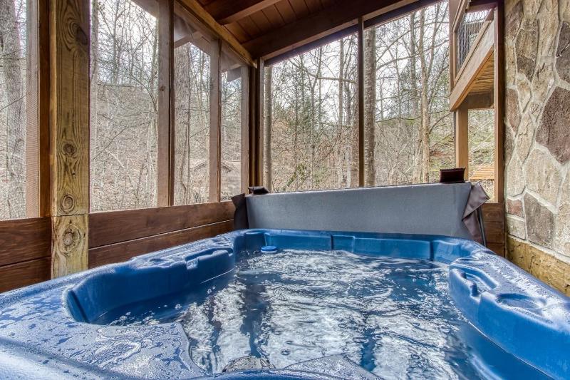 ER45 - Tin Pan Alley - Great location Just across from swimming pool! cabin - image 27