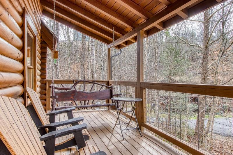 ER45 - Tin Pan Alley - Great location Just across from swimming pool! cabin - image 15