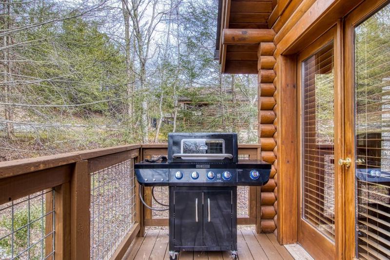 ER45 - Tin Pan Alley - Great location Just across from swimming pool! cabin - image 30