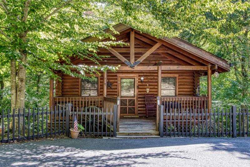 ER44 - Rising Eagle - Great Location! Close To Town! cabin - image 14