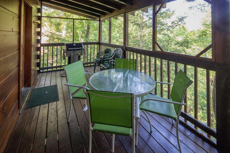 ER100 - Making Memories Great location - Close to town! cabin - image 25