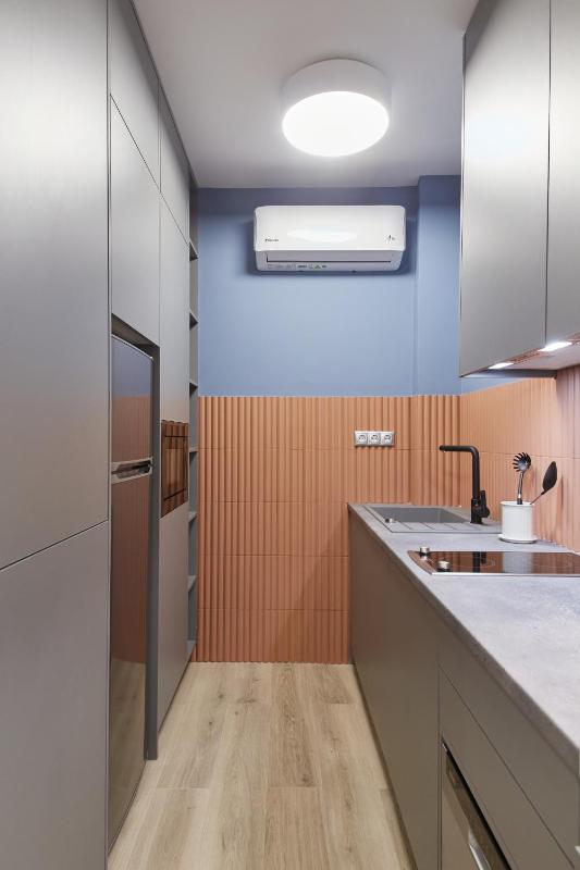 One-Bedroom Apartment image 4