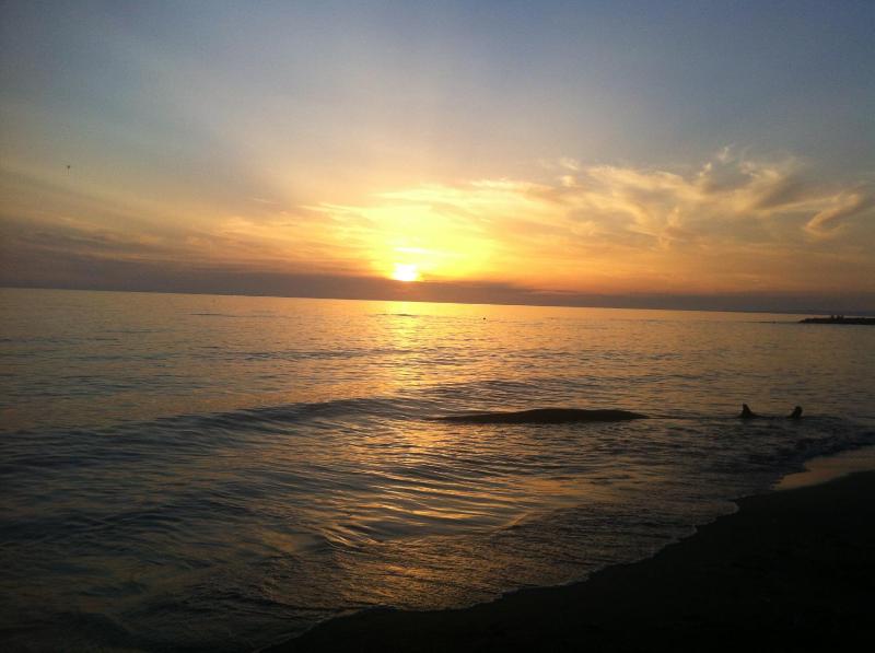 One-Bedroom House image 2