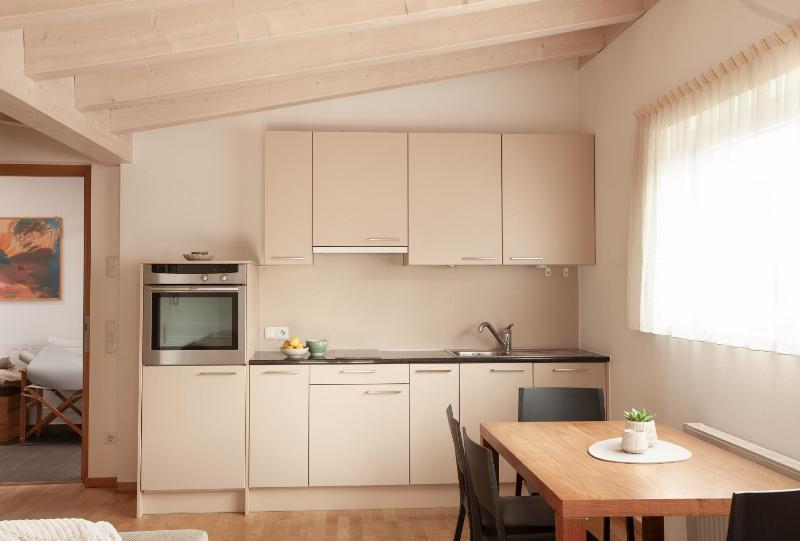 One-Bedroom Apartment image 4