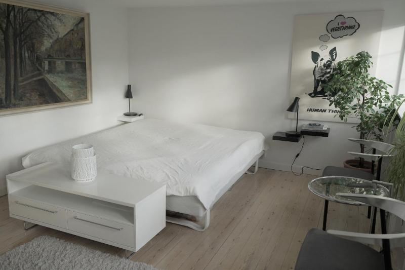 ApartmentInCopenhagen Apartment 1244 - image 12