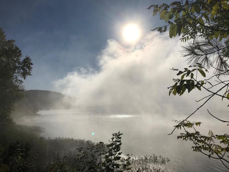 Les Dames du Lac - image 23