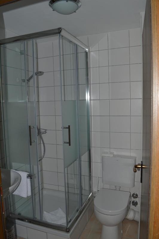 Single Room image 4