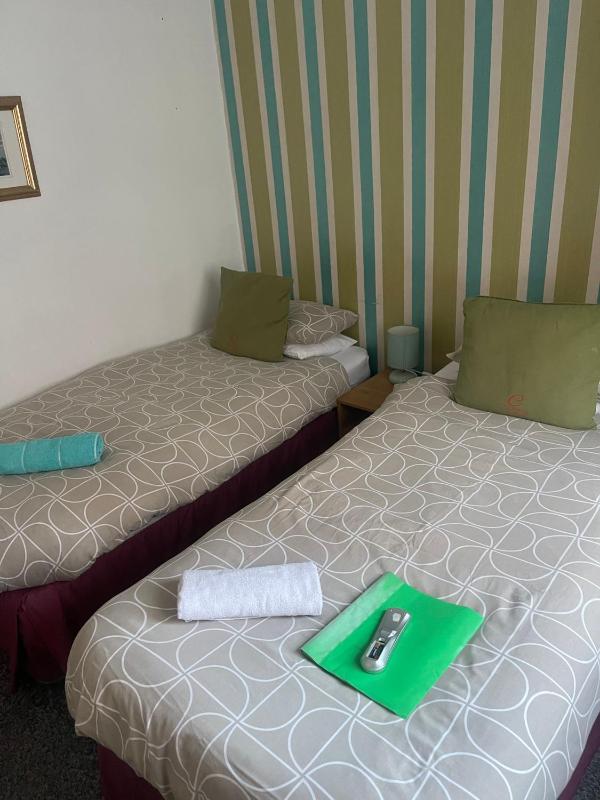 Standard Twin Room image 1